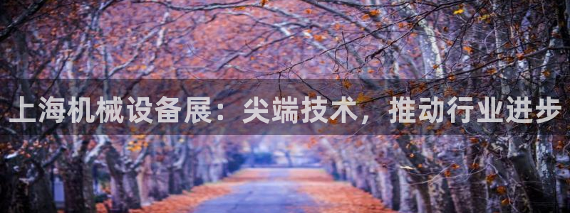 杏盛平台代理注册：上海机械设备展：尖端技术，推动行业进步
