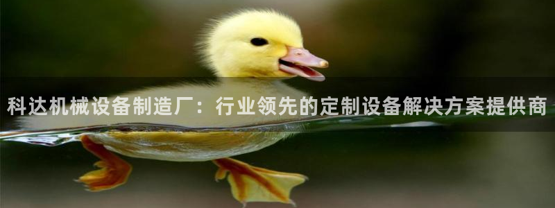 杏盛平台官网注册登录：科达机械设备制造厂：行业领先的定制设备解决方案提供商