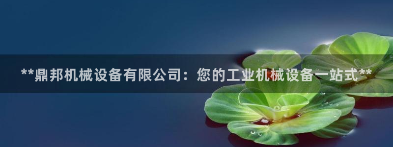 杏盛平台官网：**鼎邦机械设备有限公司：您的工业机械设备一站式**