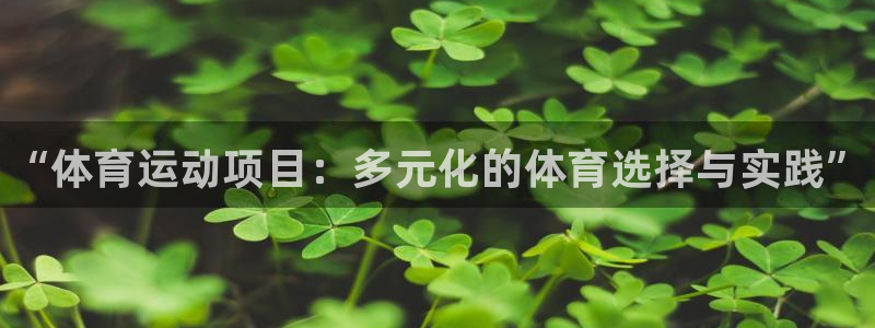 风速体育app官方下载：“体育运动项目：多元化的体育选择与实践”