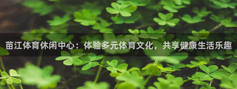 下载风速体育：苗江体育休闲中心：体验多元体育文化，共享健康生活乐趣