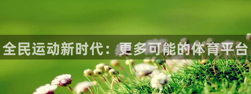 风速体育：全民运动新时代：更多可能的体育平台