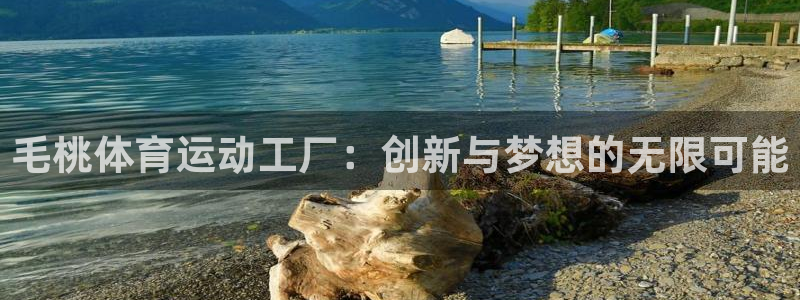 风速体育app下载官网最新版：毛桃体育运动工厂：创新与梦想的无限可能