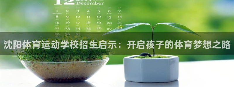风速体育app官方下载：沈阳体育运动学校招生启示：开启孩子的体育梦想之路