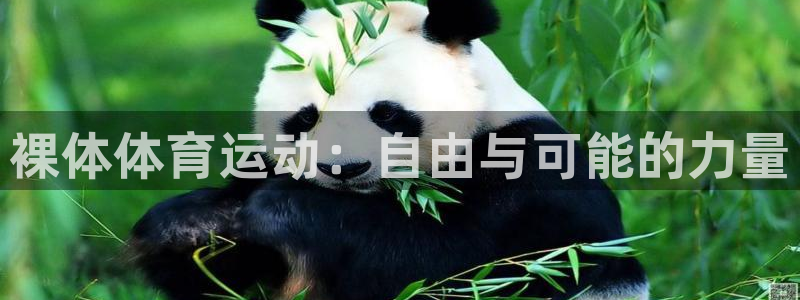 风速体育官网：裸体体育运动：自由与可能的力量