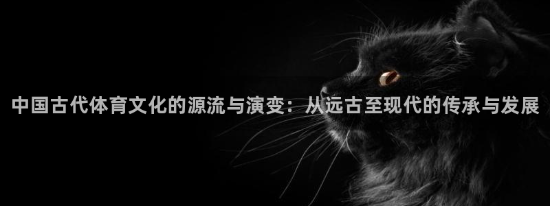风速体育：中国古代体育文化的源流与演变：从远古至现代的传承与发展
