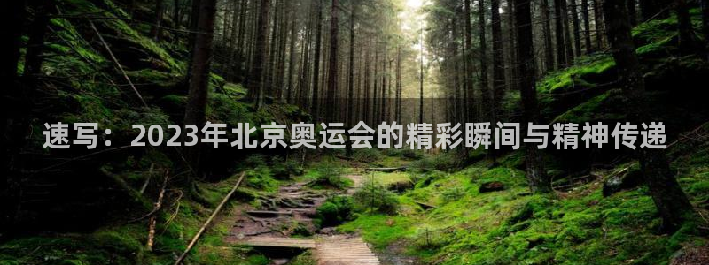 风速体育下载：速写：2023年北京奥运会的精彩瞬间与精神传递