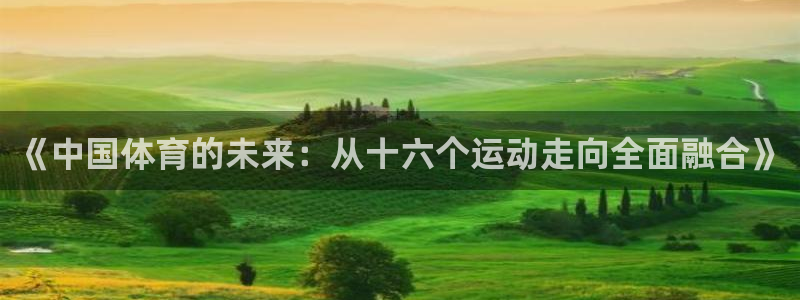 风速体育：《中国体育的未来：从十六个运动走向全面融合》