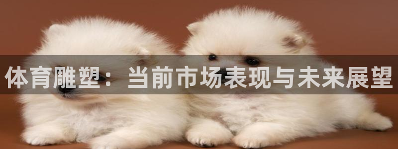 风速体育nba免费直播：体育雕塑：当前市场表现与未来展望