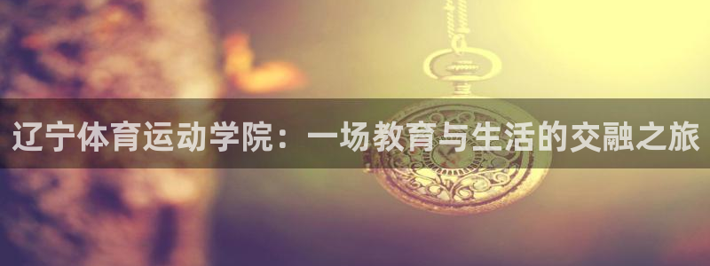 风速体育下载：辽宁体育运动学院：一场教育与生活的交融之旅