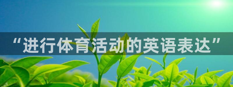 风速体育app：“进行体育活动的英语表达”