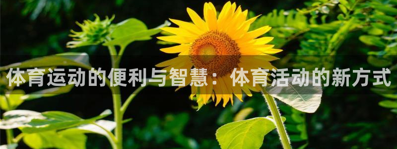 风速体育app下载安装最新版本：体育运动的便利与智慧：体育活动的新方式