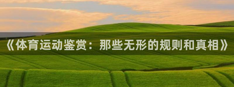 下载风速体育：《体育运动鉴赏：那些无形的规则和真相》