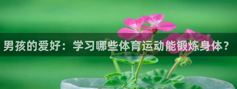风速体育直播：男孩的爱好：学习哪些体育运动能锻炼身体？
