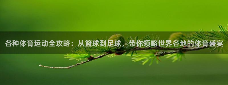 风速体育cba直播：各种体育运动全攻略：从篮球到足球，带你领略世界各地的体育盛宴