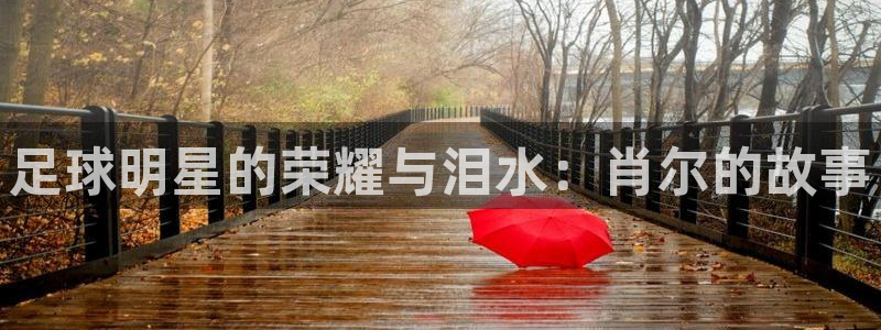 风速体育app官方下载：足球明星的荣耀与泪水：肖尔的故事