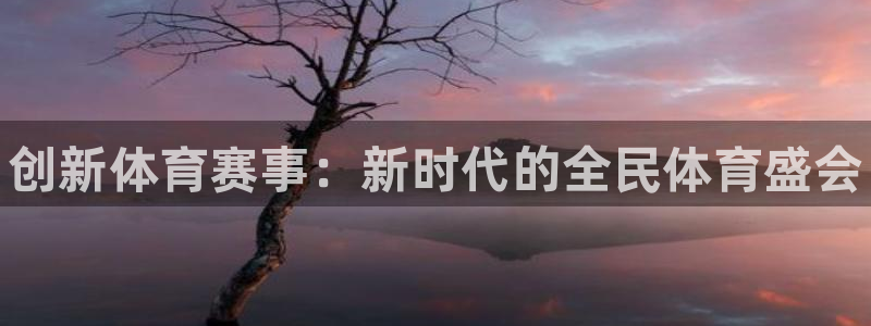 风速体育直播：创新体育赛事：新时代的全民体育盛会