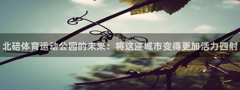 风速体育nba免费直播：北碚体育运动公园的未来：将这座城市变得更加活力四射