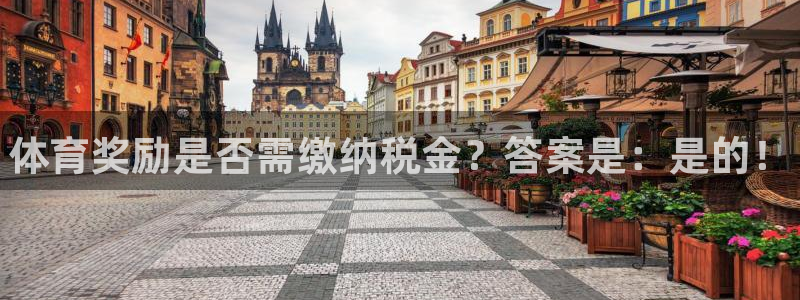 风速体育app：体育奖励是否需缴纳税金？答案是：是的！