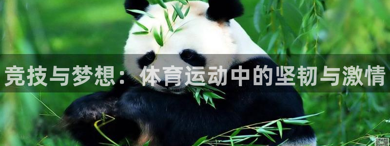 风速体育app下载安装最新版本：竞技与梦想：体育运动中的坚韧与激情