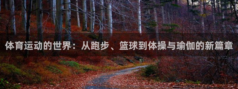 风速体育app：体育运动的世界：从跑步、篮球到体操与瑜伽的新篇章