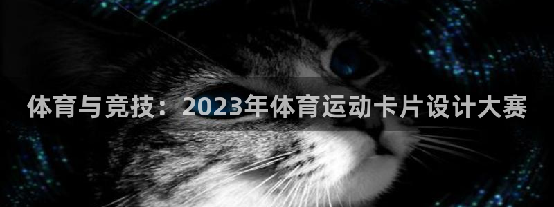 风速体育下载：体育与竞技：2023年体育运动卡片设计大赛