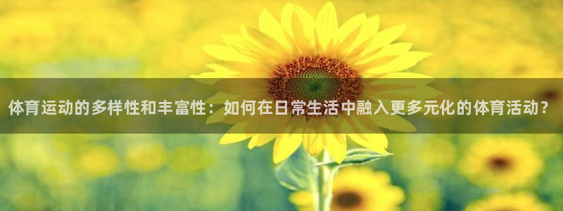 风速体育