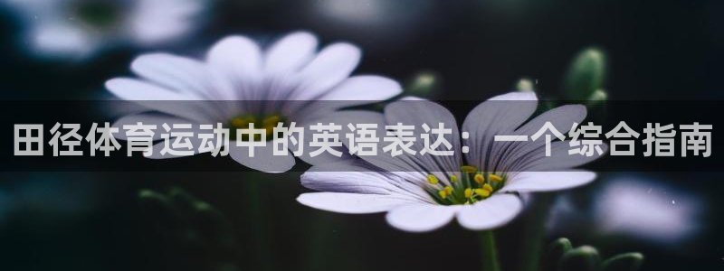 风速体育app下载官网最新版：田径体育运动中的英语表达：一个综合指南