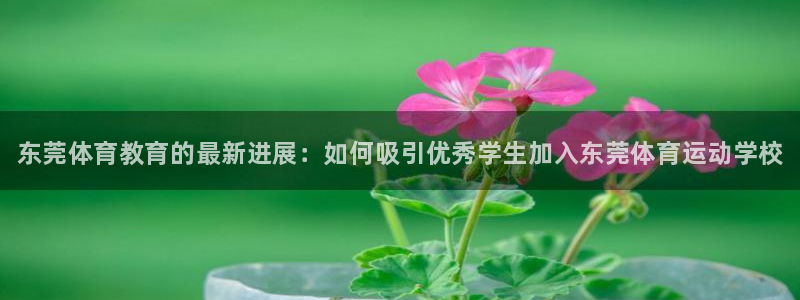 风速体育：东莞体育教育的最新进展：如何吸引优秀学生加入东莞体育运动学校