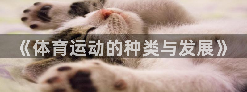 风速体育cba直播：《体育运动的种类与发展》