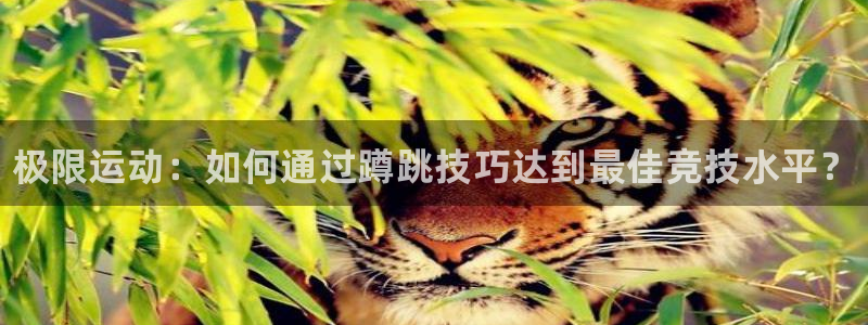 风速体育nba直播：极限运动：如何通过蹲跳技巧达到最佳竞技水平？