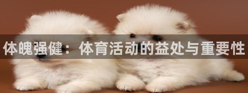 风速体育app官方下载：体魄强健：体育活动的益处与重要性