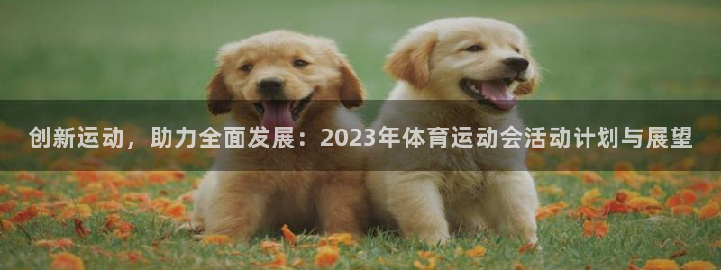 风速体育nba免费直播：创新运动，助力全面发展：2023年体育运动会活动计划与展望