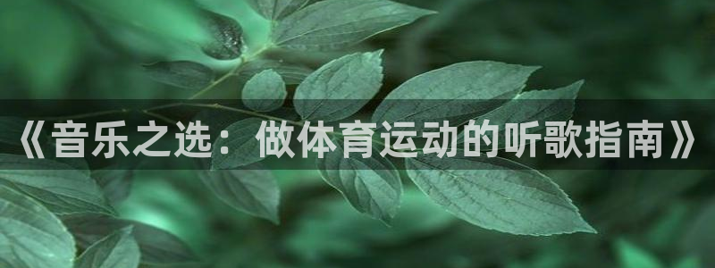 风速体育nba免费直播