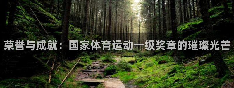 风速体育app下载官网最新版：荣誉与成就：国家体育运动一级奖章的璀璨光芒