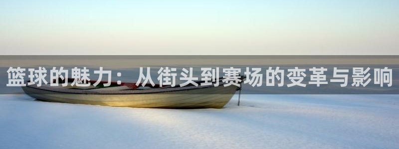风速体育：篮球的魅力：从街头到赛场的变革与影响