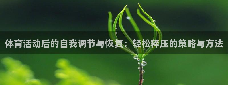 风速体育nba直播：体育活动后的自我调节与恢复：轻松释压的策略与方法