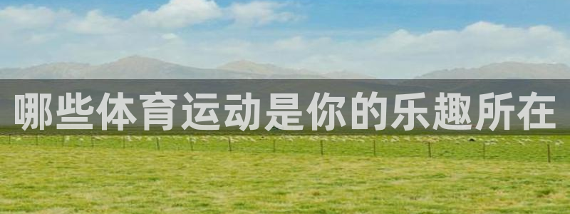 风速体育app：哪些体育运动是你的乐趣所在