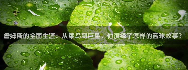 风速体育官网：詹姆斯的全面生涯：从菜鸟到巨星，他演绎了怎样的篮球故事？