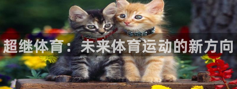 风速体育app官方下载：超继体育：未来体育运动的新方向