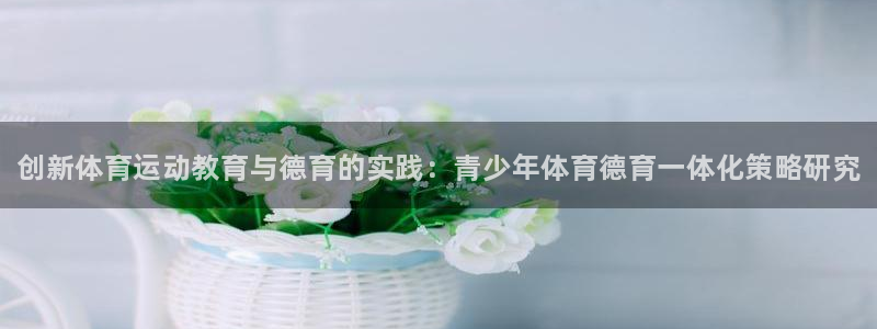 风速体育：创新体育运动教育与德育的实践：青少年体育德育一体化策略研究