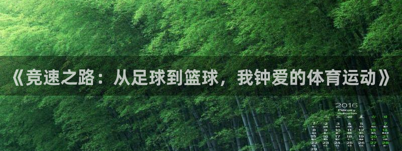 风速体育：《竞速之路：从足球到篮球，我钟爱的体育运动》
