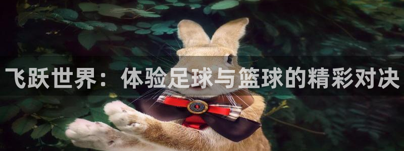 风速体育nba免费直播：飞跃世界：体验足球与篮球的精彩对决