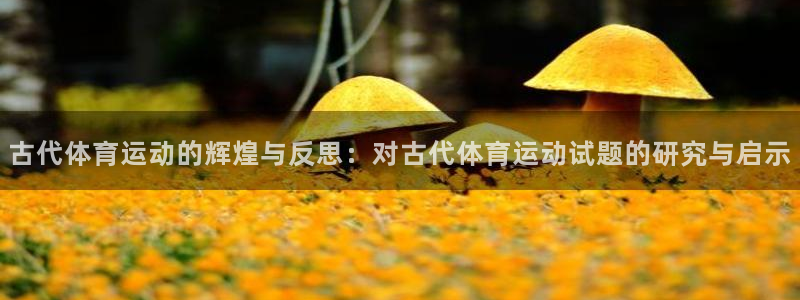 下载风速体育：古代体育运动的辉煌与反思：对古代体育运动试题的研究与启示