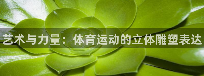 风速体育nba免费直播：艺术与力量：体育运动的立体雕塑表达