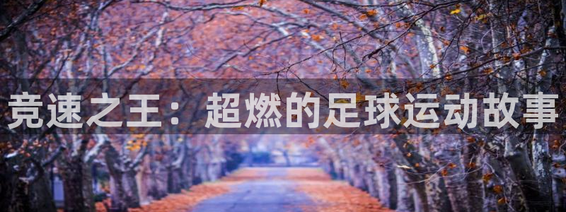 风速体育app下载官网最新版：竞速之王：超燃的足球运动故事