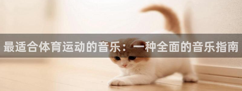 下载风速体育：最适合体育运动的音乐：一种全面的音乐指南