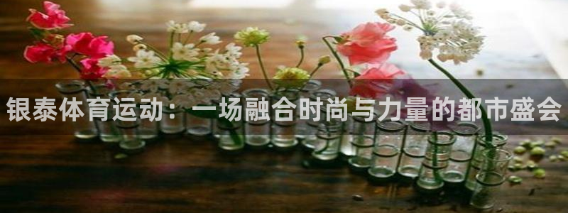 风速体育app下载安装最新版本：银泰体育运动：一场融合时尚与力量的都市盛会