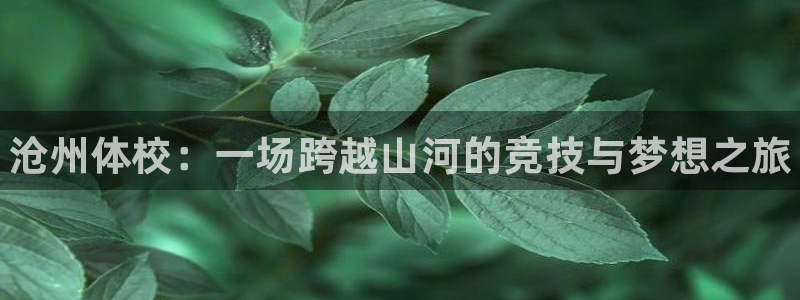 风速体育官网：沧州体校：一场跨越山河的竞技与梦想之旅