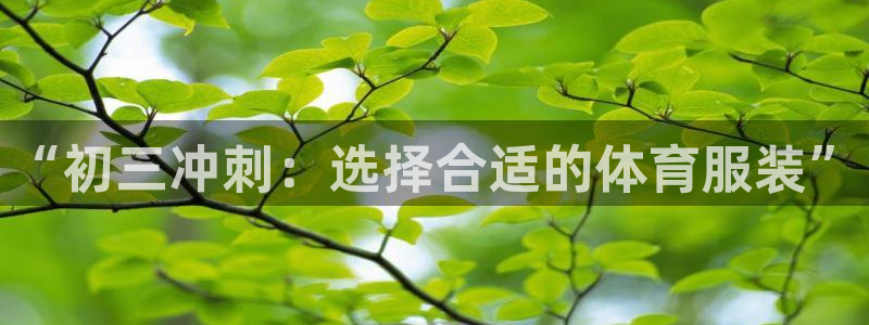 风速体育nba免费直播：“初三冲刺：选择合适的体育服装”